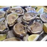 fresh-oysters-400x300_c