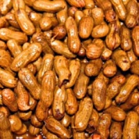 frozen-cajun-boiled-peanuts-400x300_c