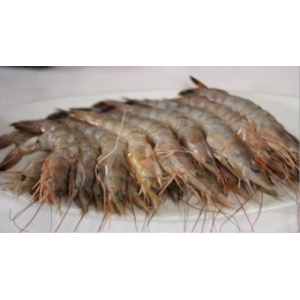 wild-brown-gulf-shrimp-400x223_c