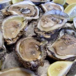 fresh-oysters-400x300_c